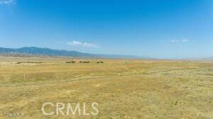 New Cuyama, CA 93254,0 Perkins Road