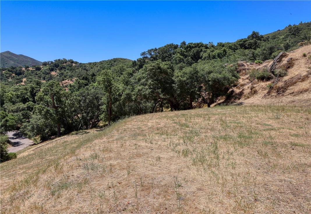 Atascadero, CA 93422,13025 Old Morro Road