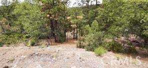 Fawnskin, CA 92333,0 Bruin Trail