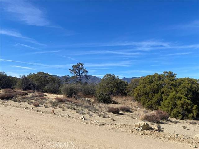 Pinyon Pines, CA 92561,0 Palm Canyon Dr.