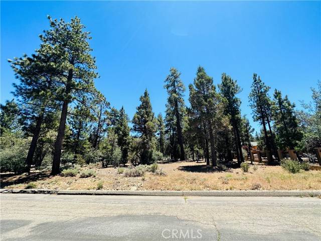 Big Bear City, CA 92314,1316 Shadowhill Court