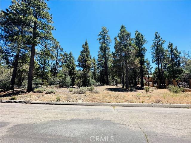 Big Bear City, CA 92314,1316 Shadowhill Court