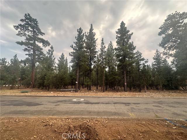 Big Bear City, CA 92314,0 Appaloosa