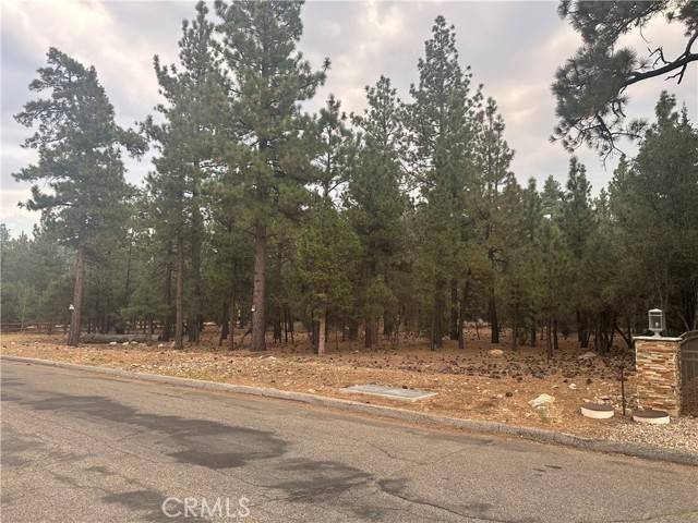 Big Bear City, CA 92314,0 Appaloosa