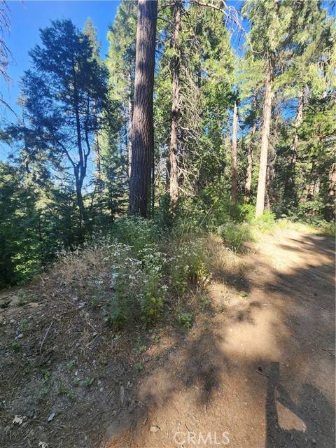 Cedarpines Park, CA 92322,0 Forest Drive