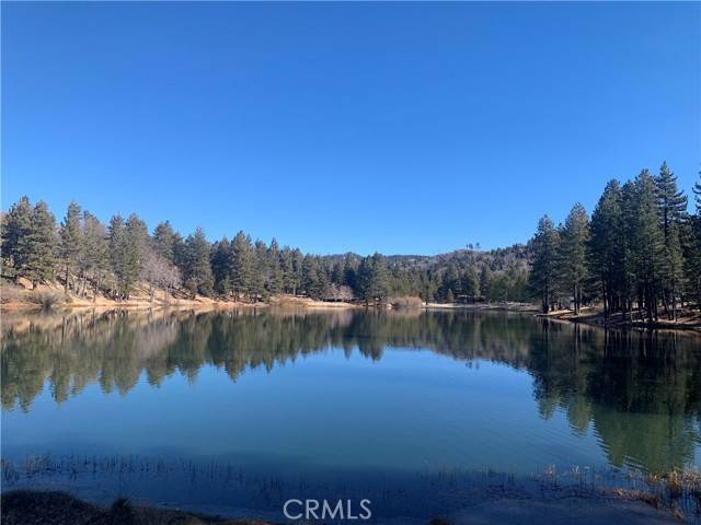 Green Valley Lake, CA 92341,33033 Spruce Drive