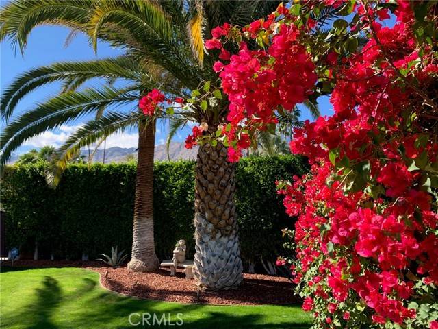 Palm Springs, CA 92262,1222 Tamarisk Road