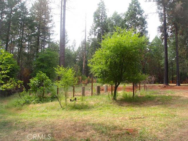 Magalia, CA 95954,14340 Dogtown Road