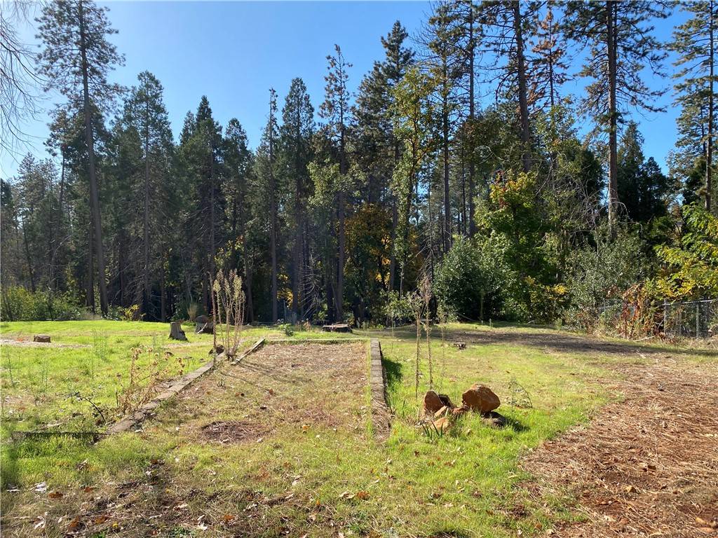 Paradise, CA 95969,1782 Forest Glen Road