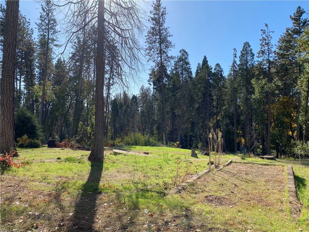 Paradise, CA 95969,1782 Forest Glen Road