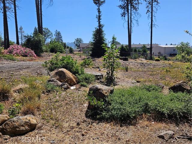 Paradise, CA 95969,5570 Butte View Terrace