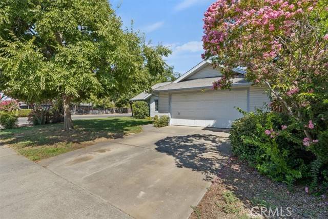 Willows, CA 95988,1095 Green Street