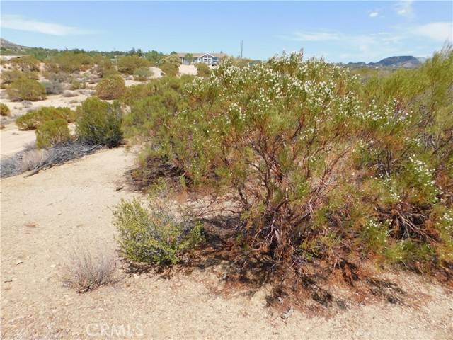 Pinyon Pines, CA 92561,0 APN 635251011,