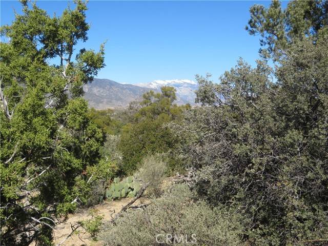 Mountain Center, CA 92561,155 Lot #155 Buckthorn