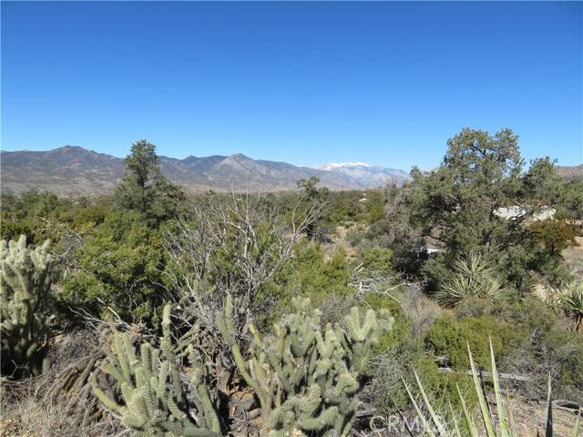 Mountain Center, CA 92561,155 Lot #155 Buckthorn