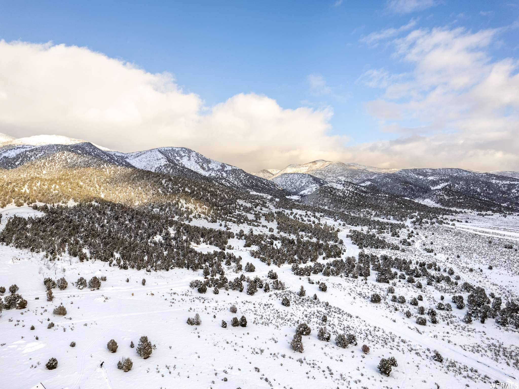 Birdseye, UT 84629,5100 COUGAR RUN