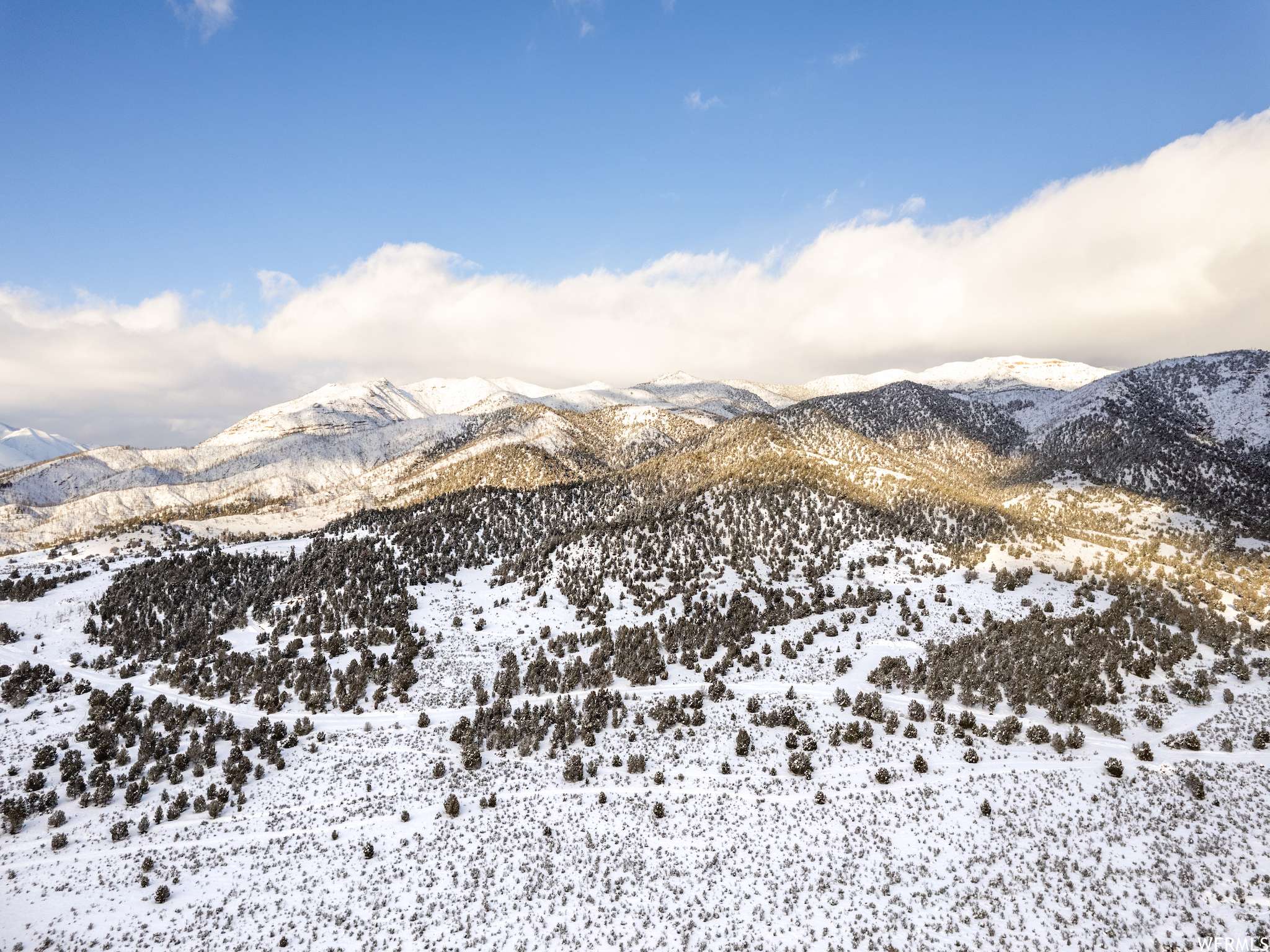 Birdseye, UT 84629,5100 COUGAR RUN