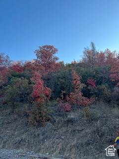 Santaquin, UT 84655,1200 S SOUTH POLE CANYON ROAD