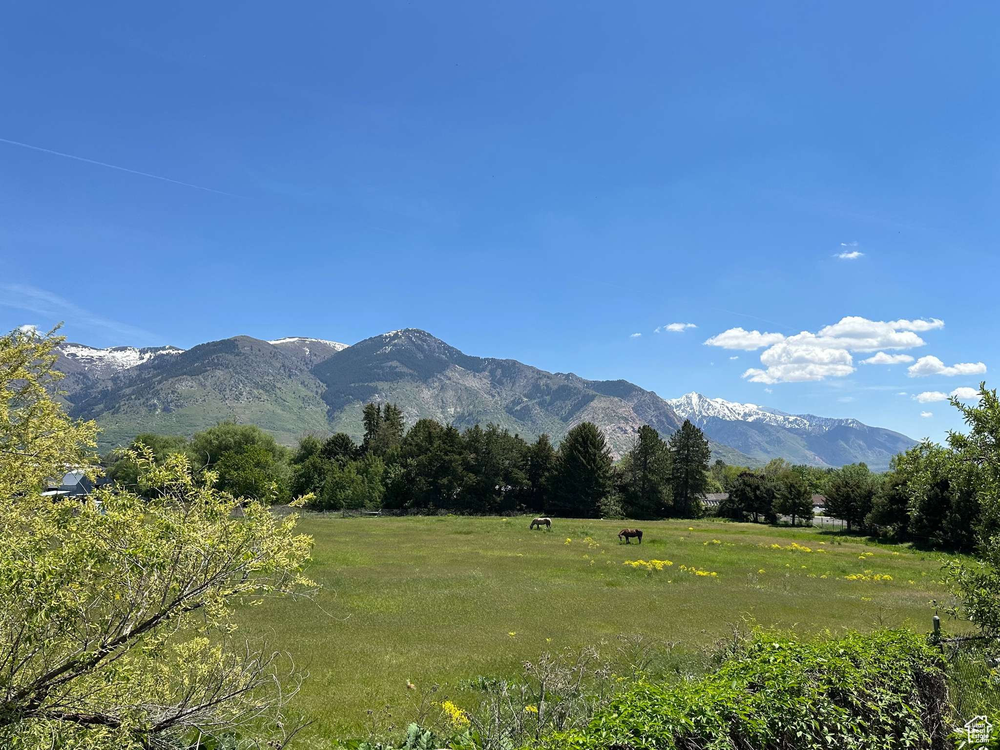 North Ogden, UT 84414,2782 N 150 W