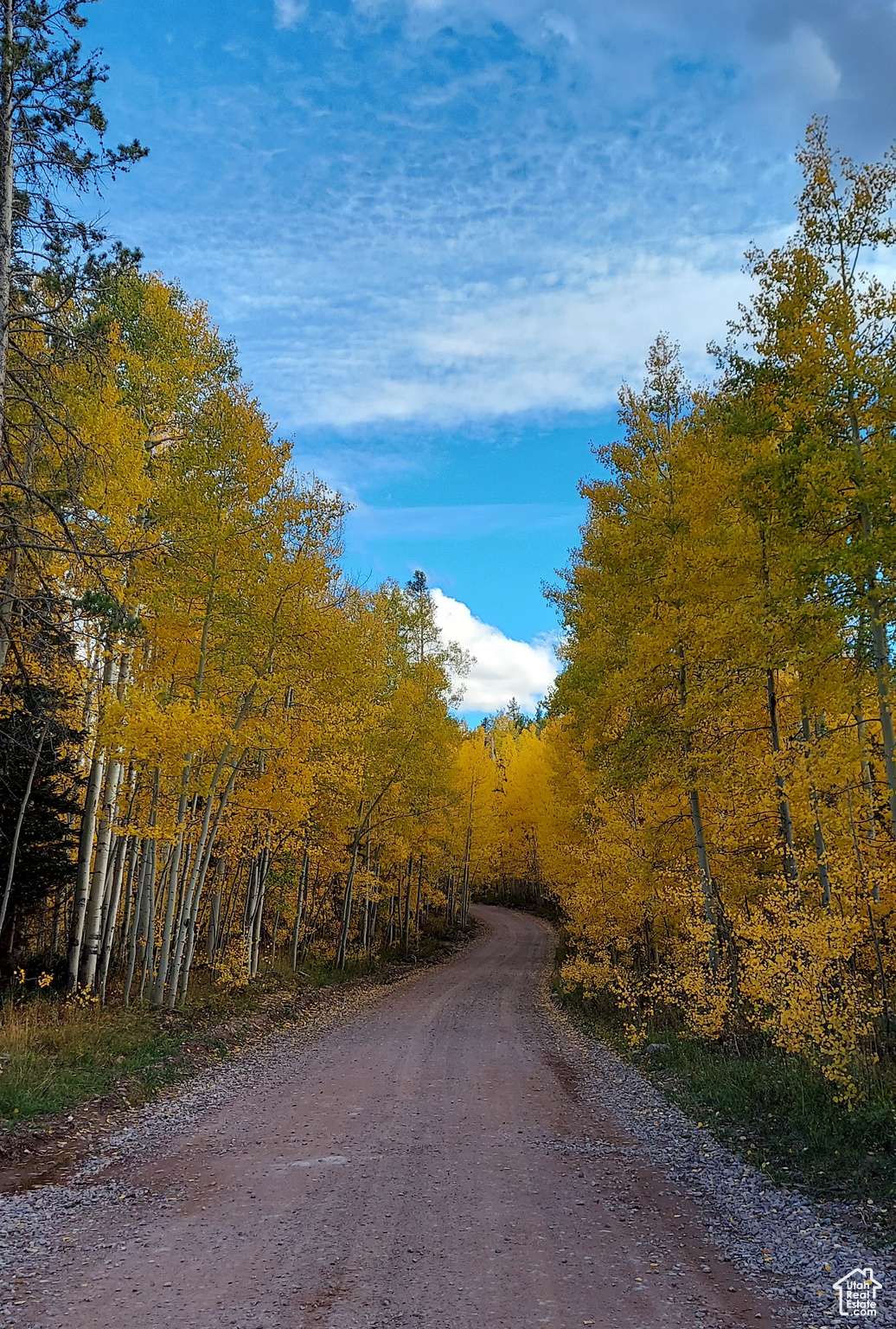 Kamas, UT 84036,3036 UINTA DR #74C