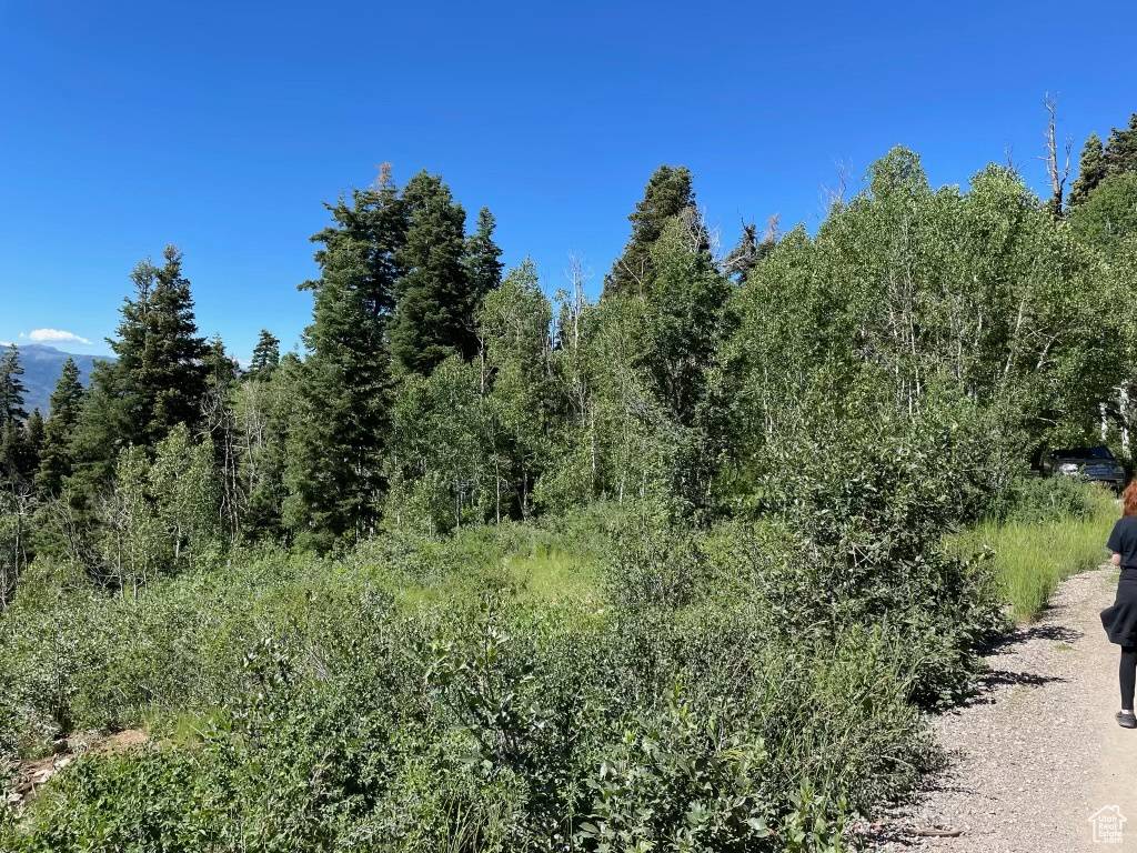 Fairview, UT 84629,56 K QUAKING PINE CIR #K-56