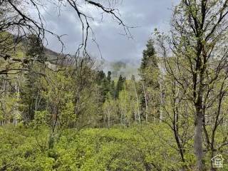 Fairview, UT 84629,56 K QUAKING PINE CIR #K-56