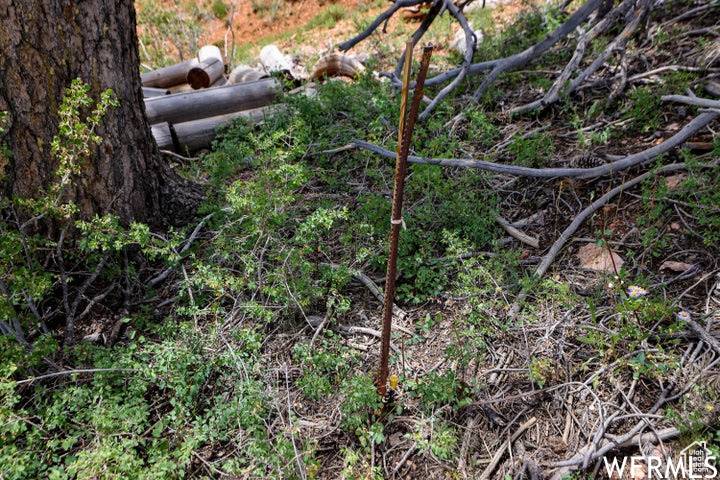 Brian Head, UT 84719,2 W KOKOPELLI LOOP