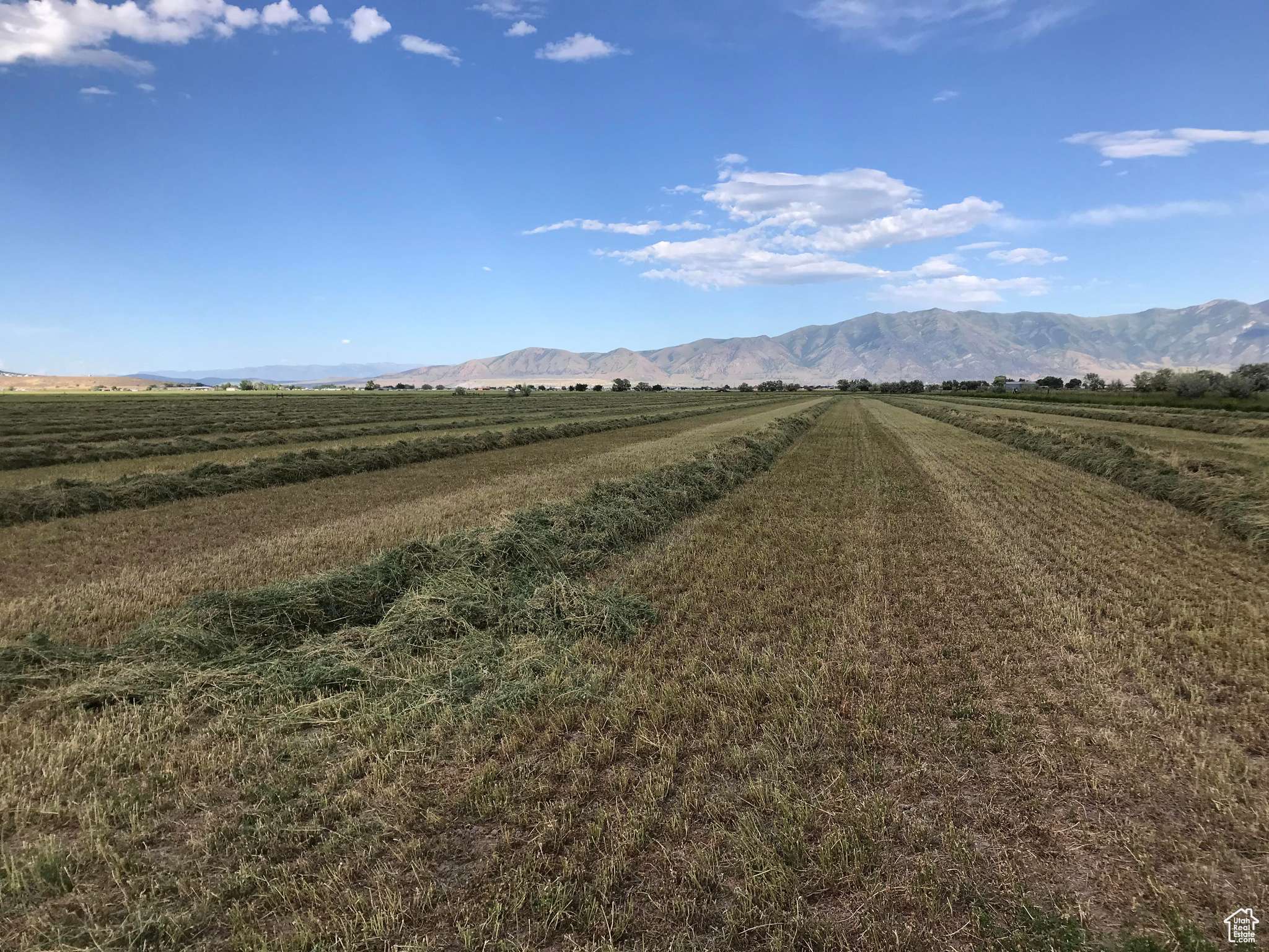 Bothwell, UT 84337,10000 W 10400 N