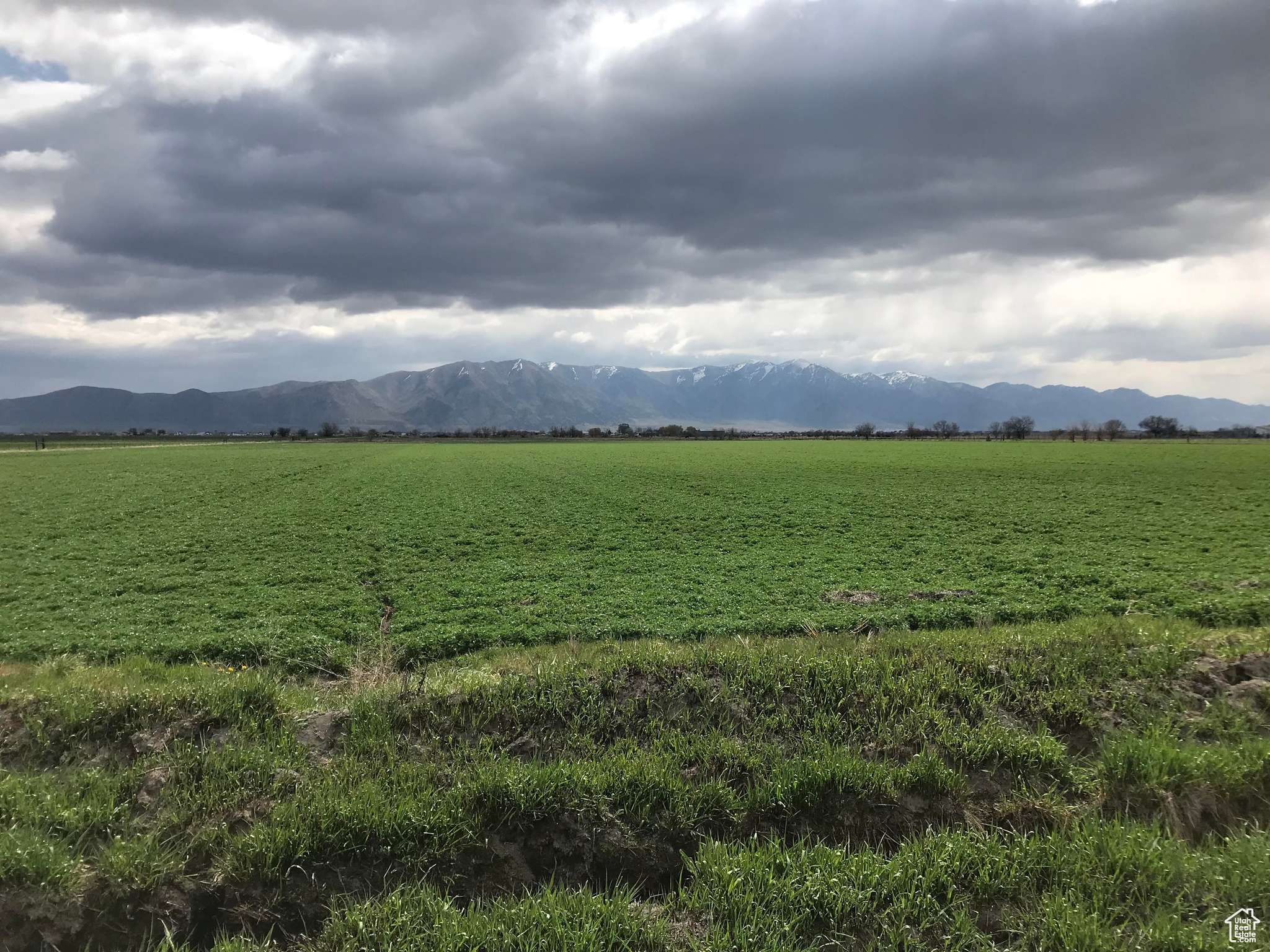 Bothwell, UT 84337,10000 W 10400 N