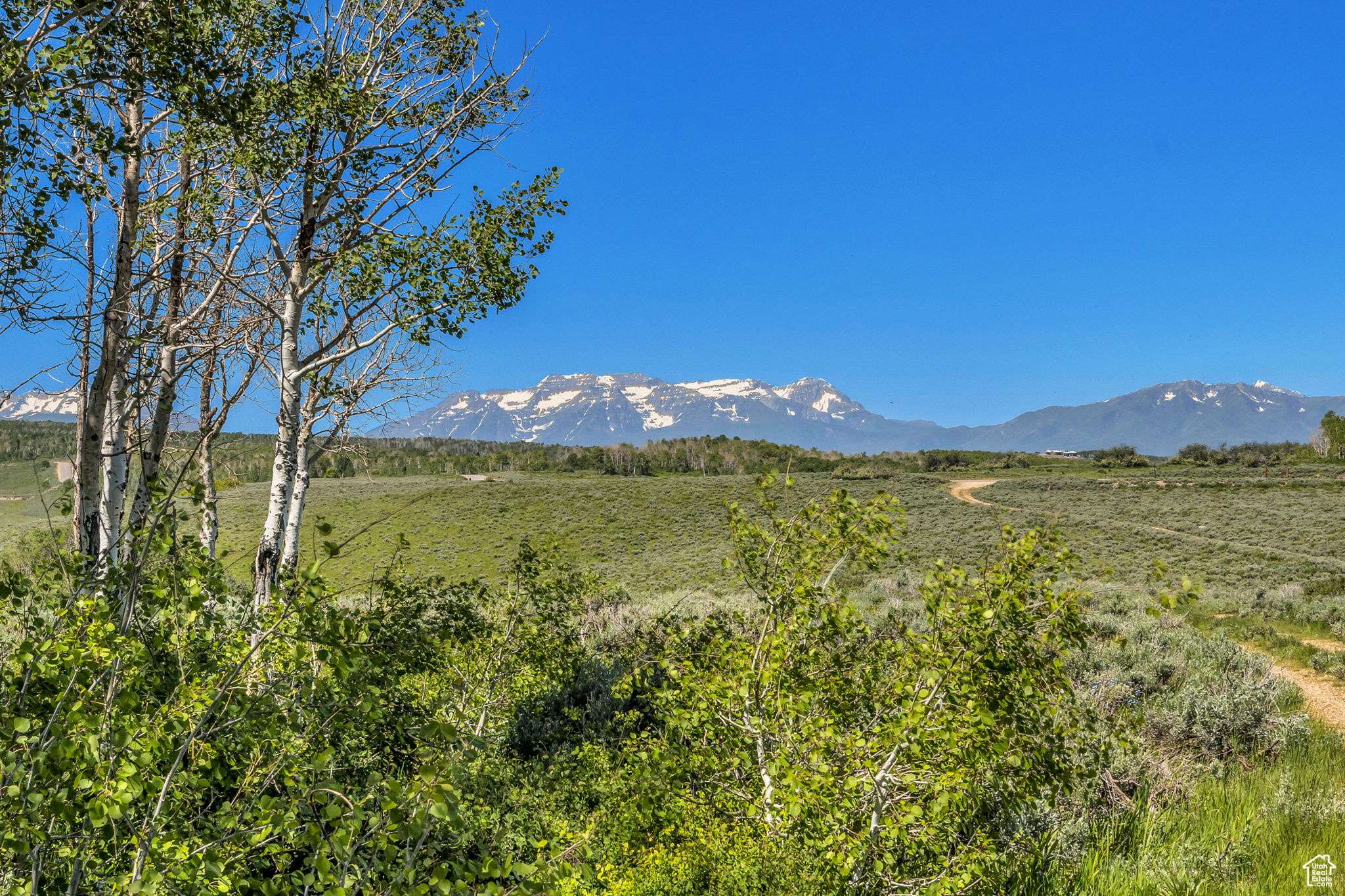 Heber City, UT 84032,2980 N WOLF CREEK RANCH RD #54