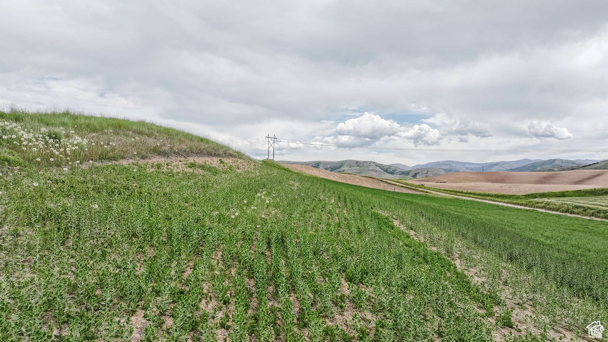 Preston, ID 83263,2155 N 2200 RD E