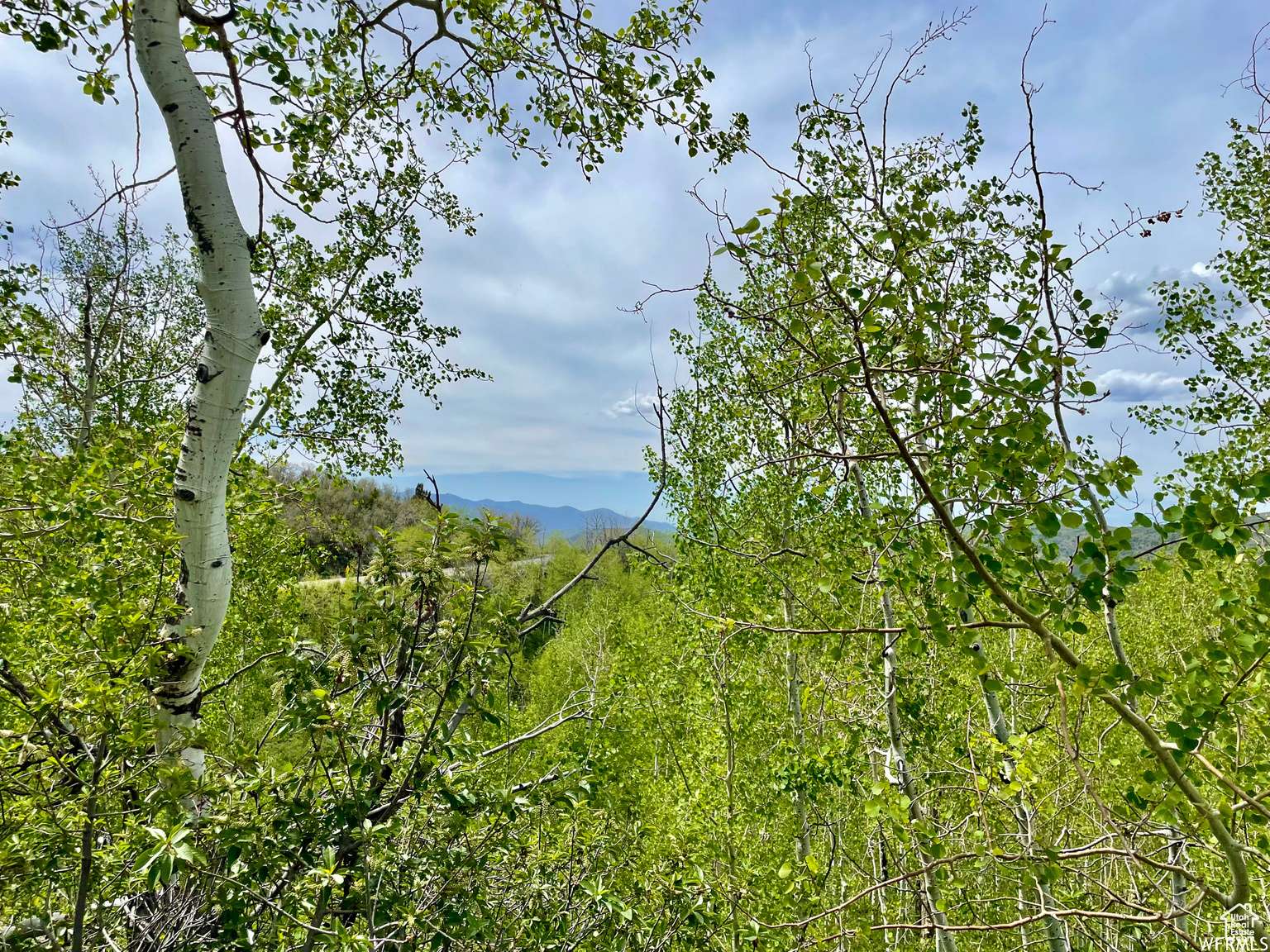 Heber City, UT 84032,10445 E LAKE PINES DR #723