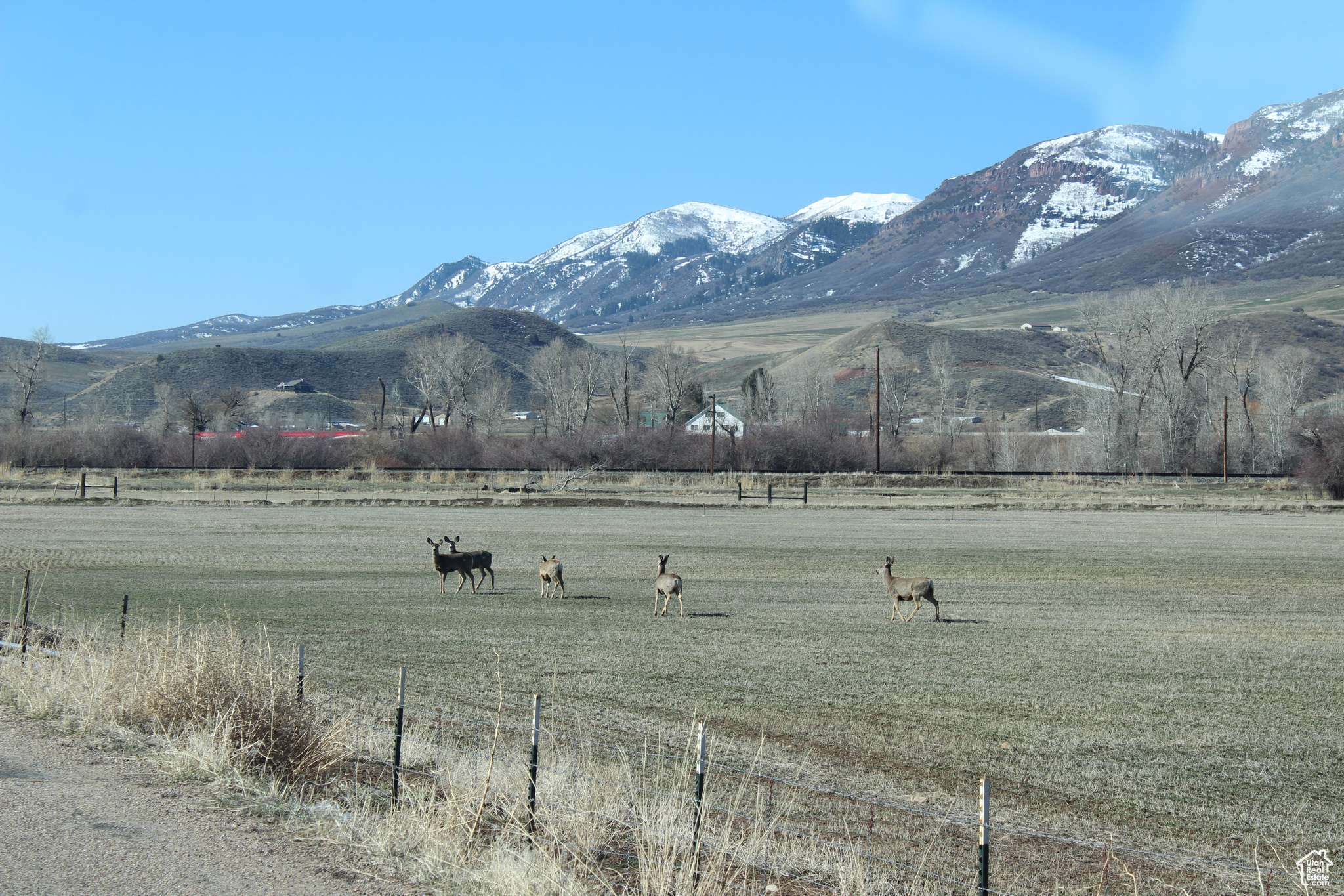 Henefer, UT 84033