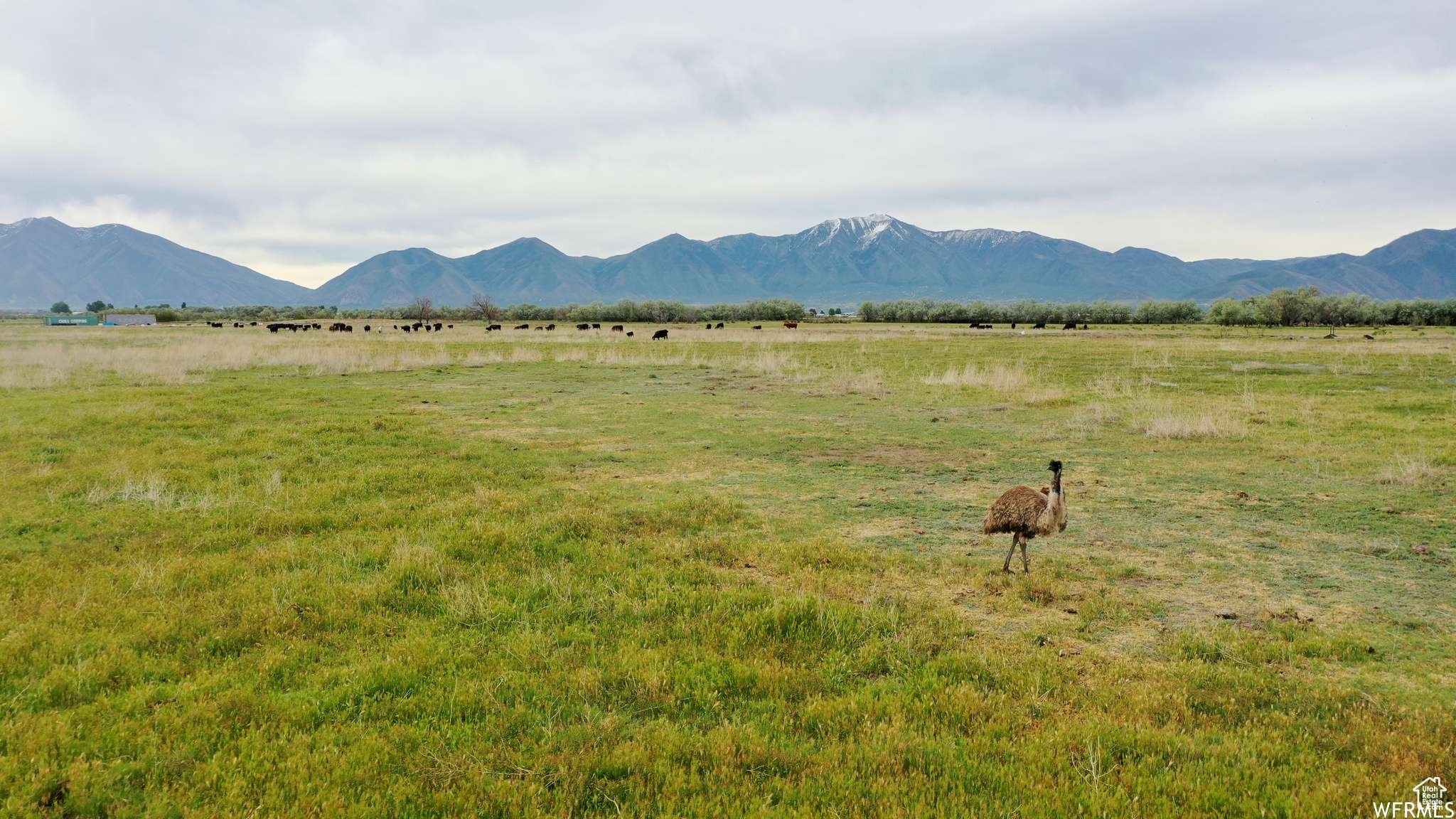 Lake Shore, UT 84660,5500 W 5600 S