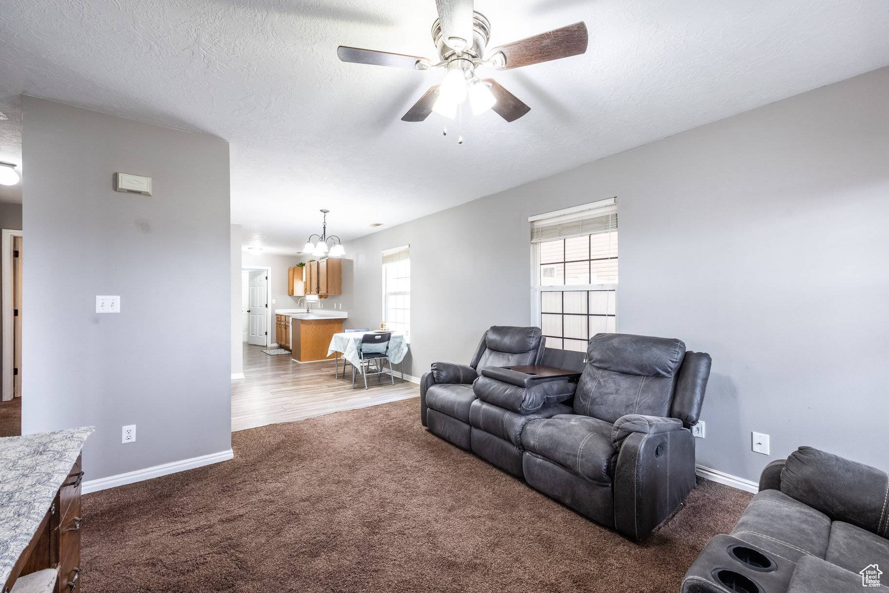 Spanish Fork, UT 84660,244 N 920 W