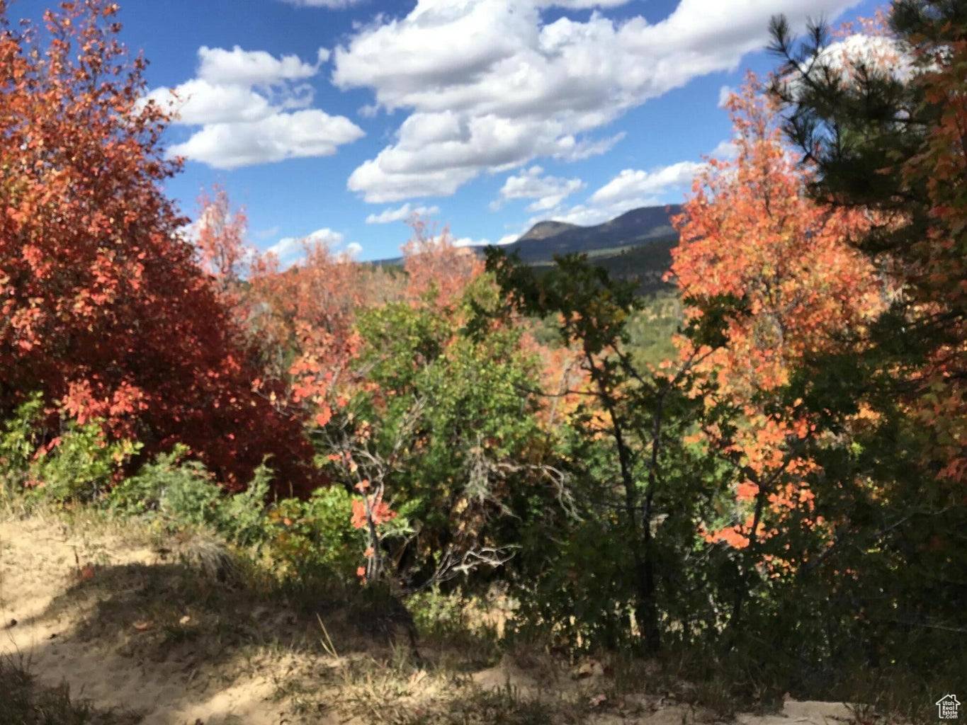 Duck Creek Village, UT 84762,AC COUNTY RD