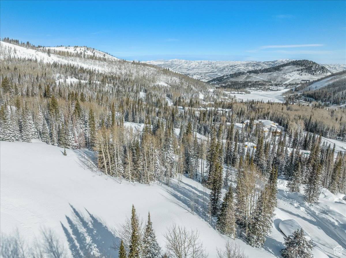 Park City, UT 84060,322 WHITE PINE RD #322