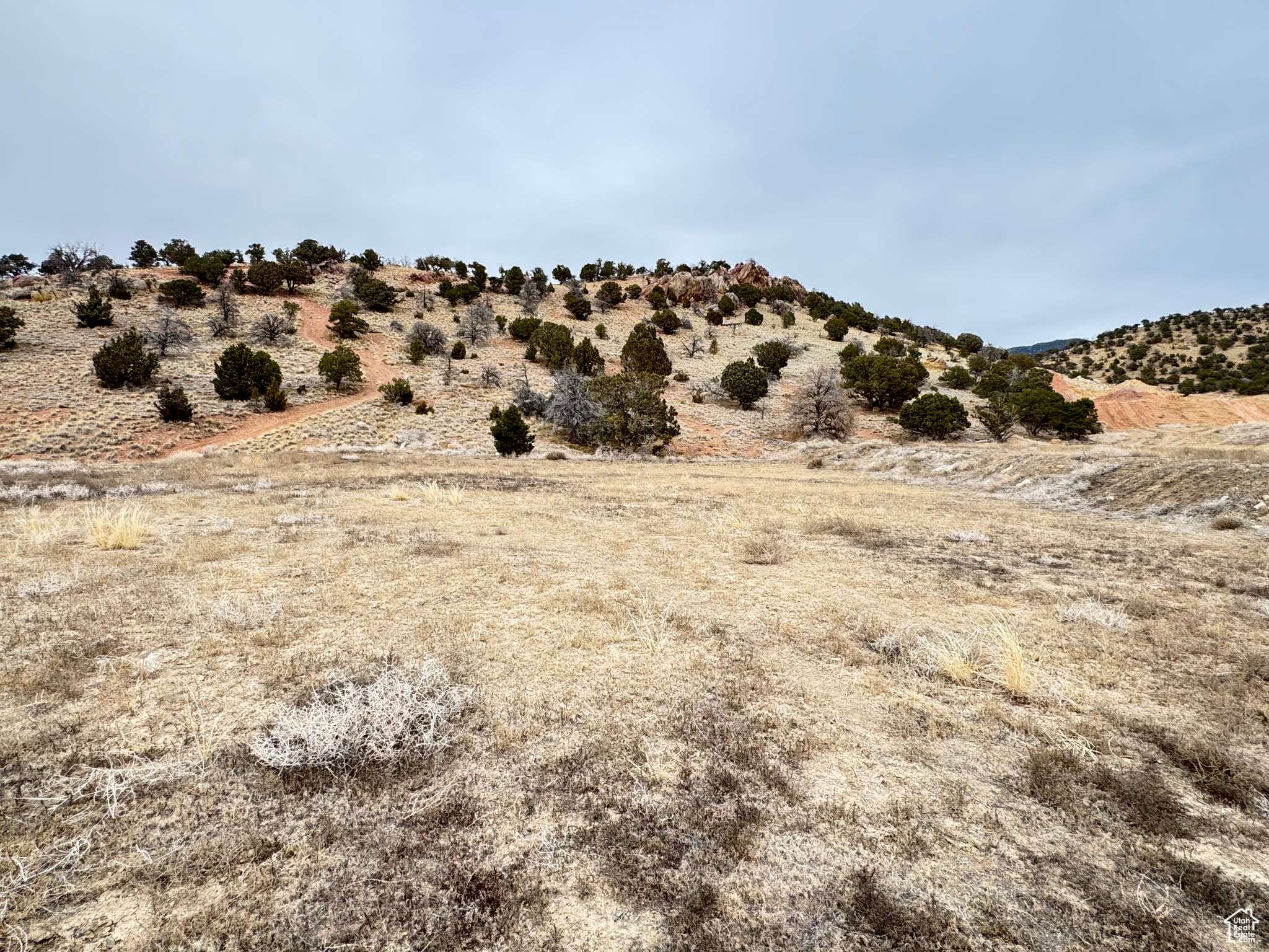 Cedar City, UT 84721,677 E FIDDLERS COVE DR #3