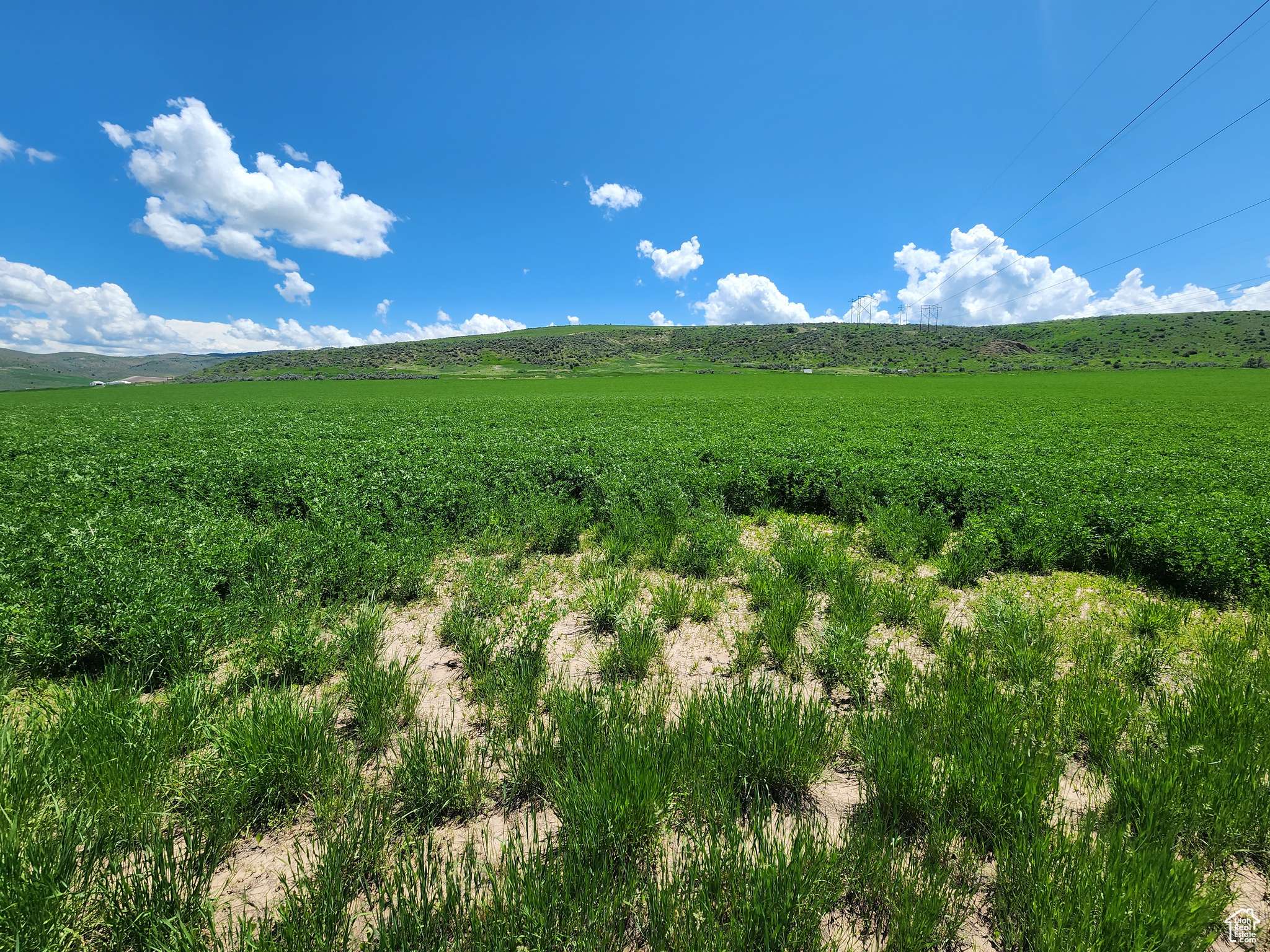 Preston, ID 83263,6600 N HWY 34 E #3