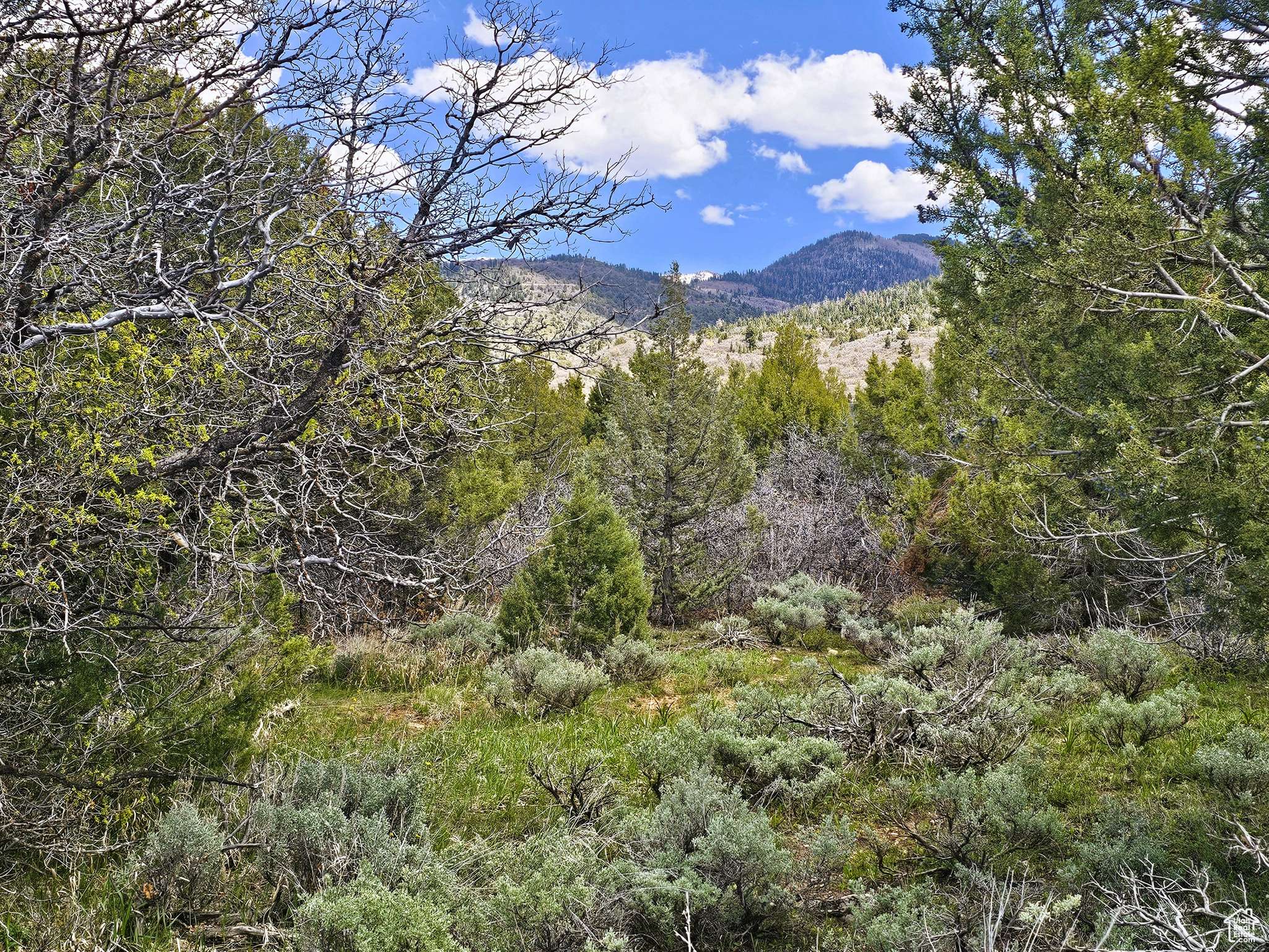 Mt Pleasant, UT 84647,184 MOUNTAIN VIEW RD #184