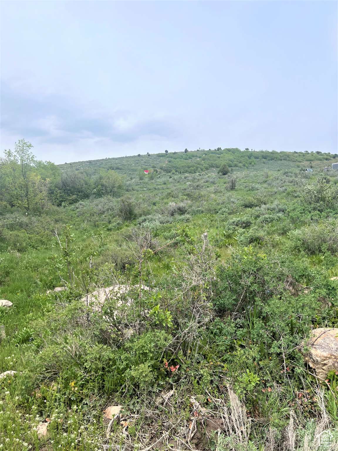 Garden City, UT 84028,1187 W CEDAR DR