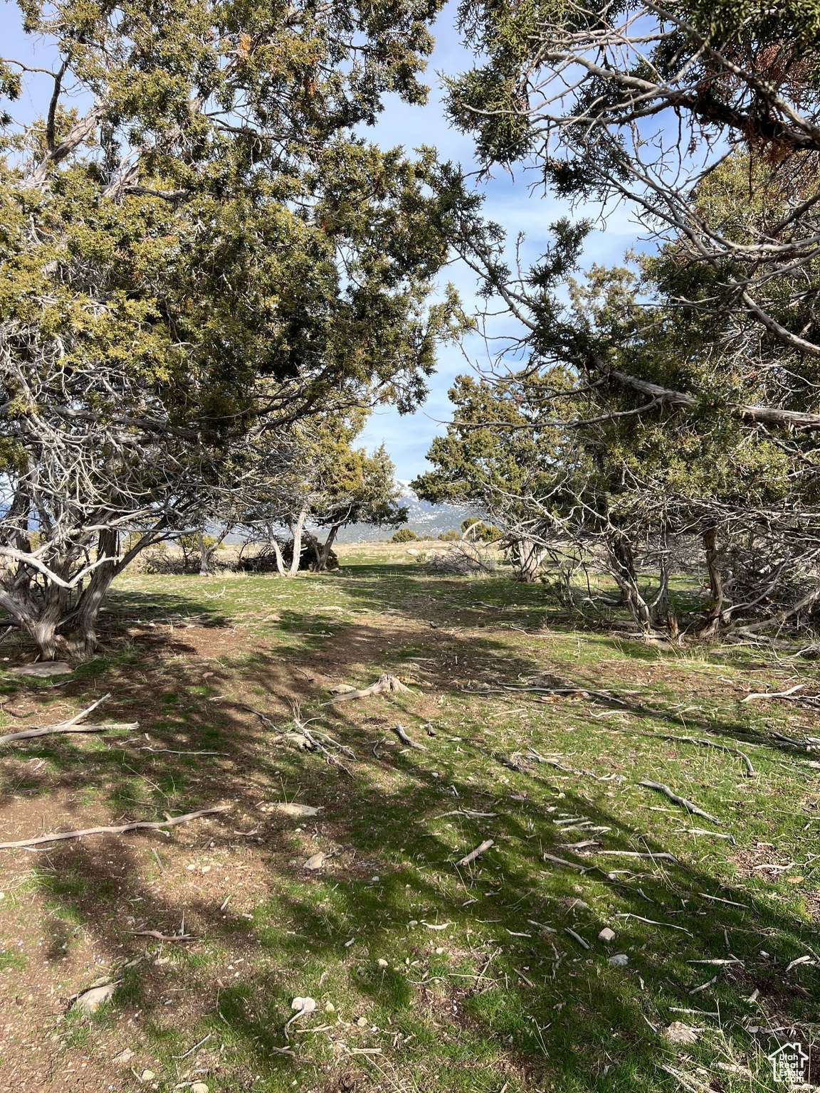 Spring City, UT 84662