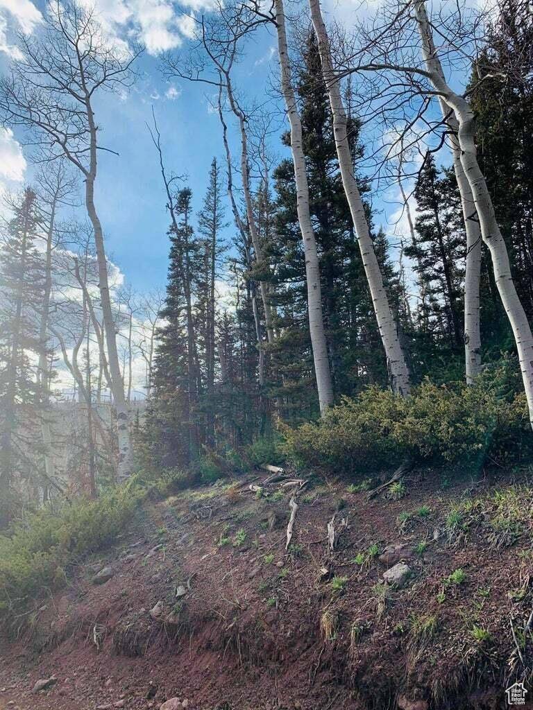 Beaver, UT 84713,#28