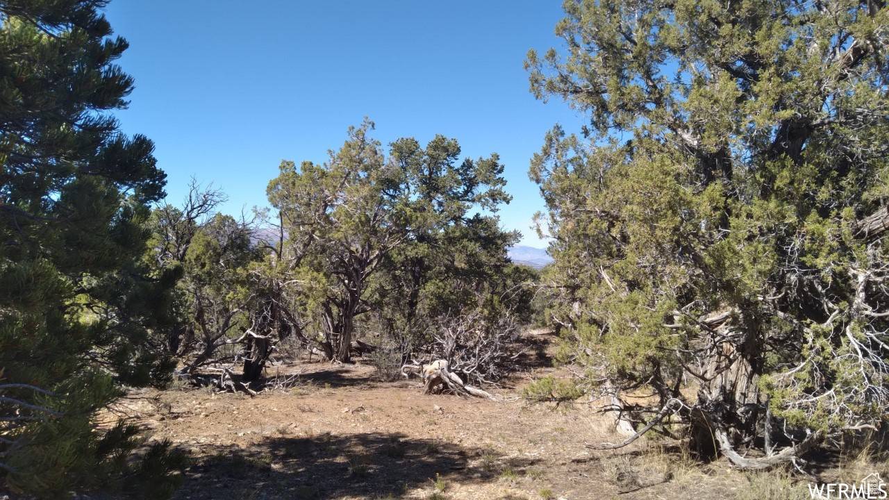 Fruitland, UT 84027