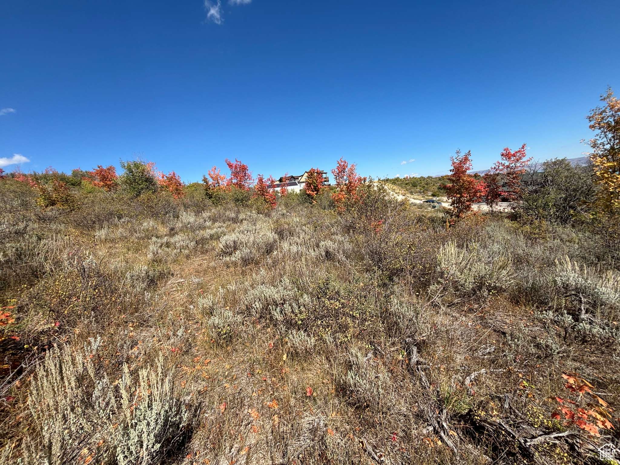 Fish Haven, ID 83287,779 HICKOCK DR #424