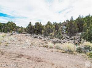 Alton, UT 84710,N MOQUIE CT #6