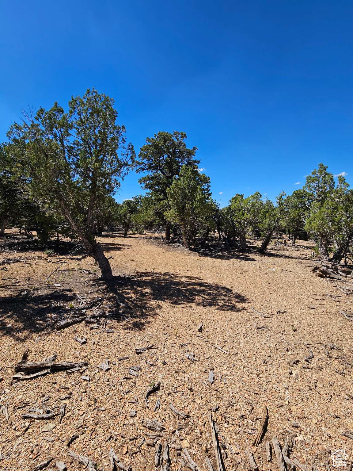 Fruitland, UT 84027,0 S 39300 W #58