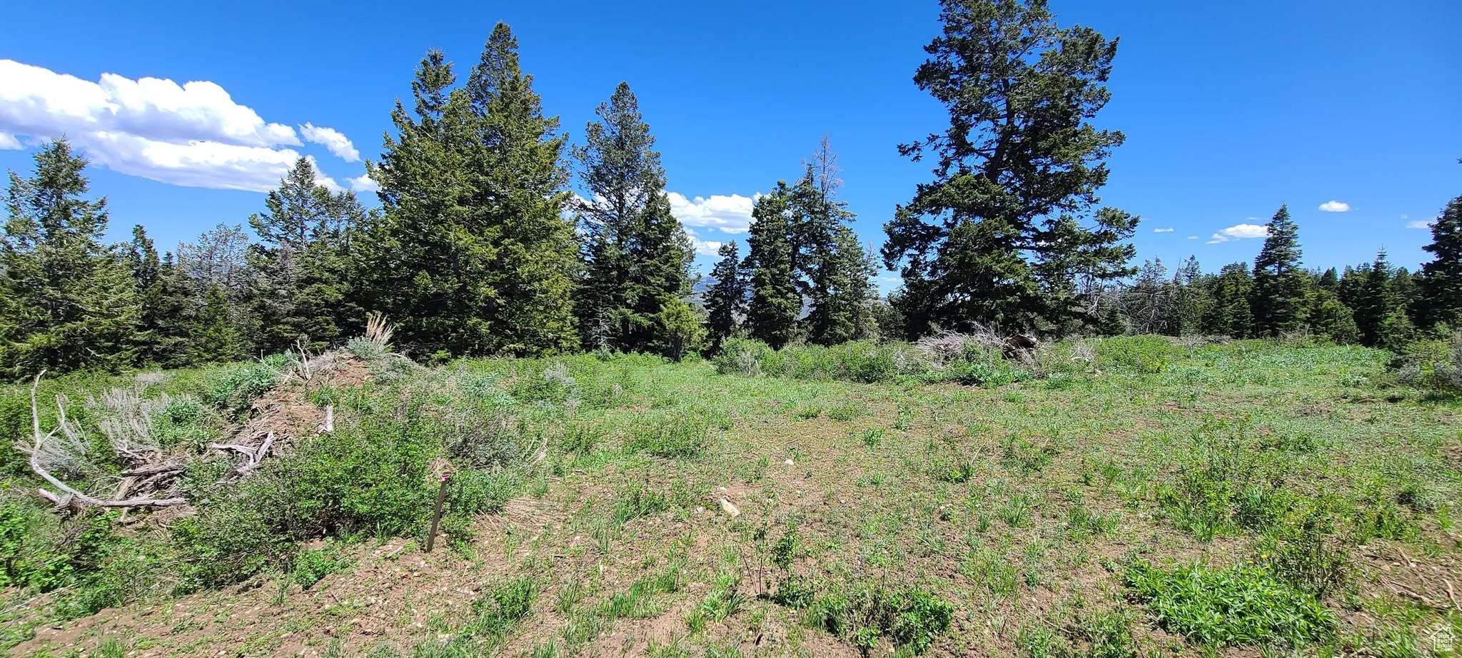 Spanish Fork, UT 84660,22596 S SNOWBIRD E #C31