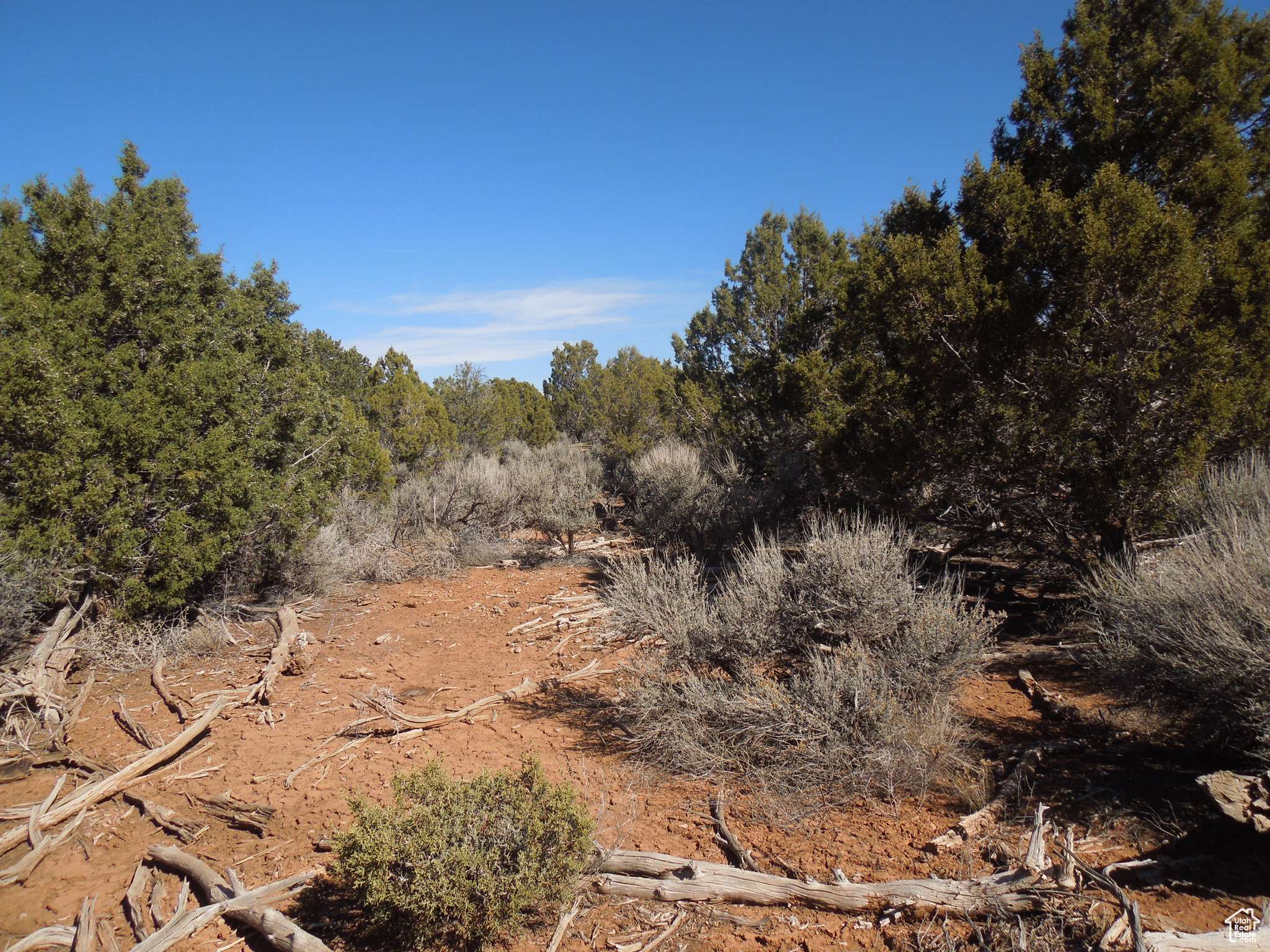 Monticello, UT 84535,17 W SUNRISE COUNTRY RD #17