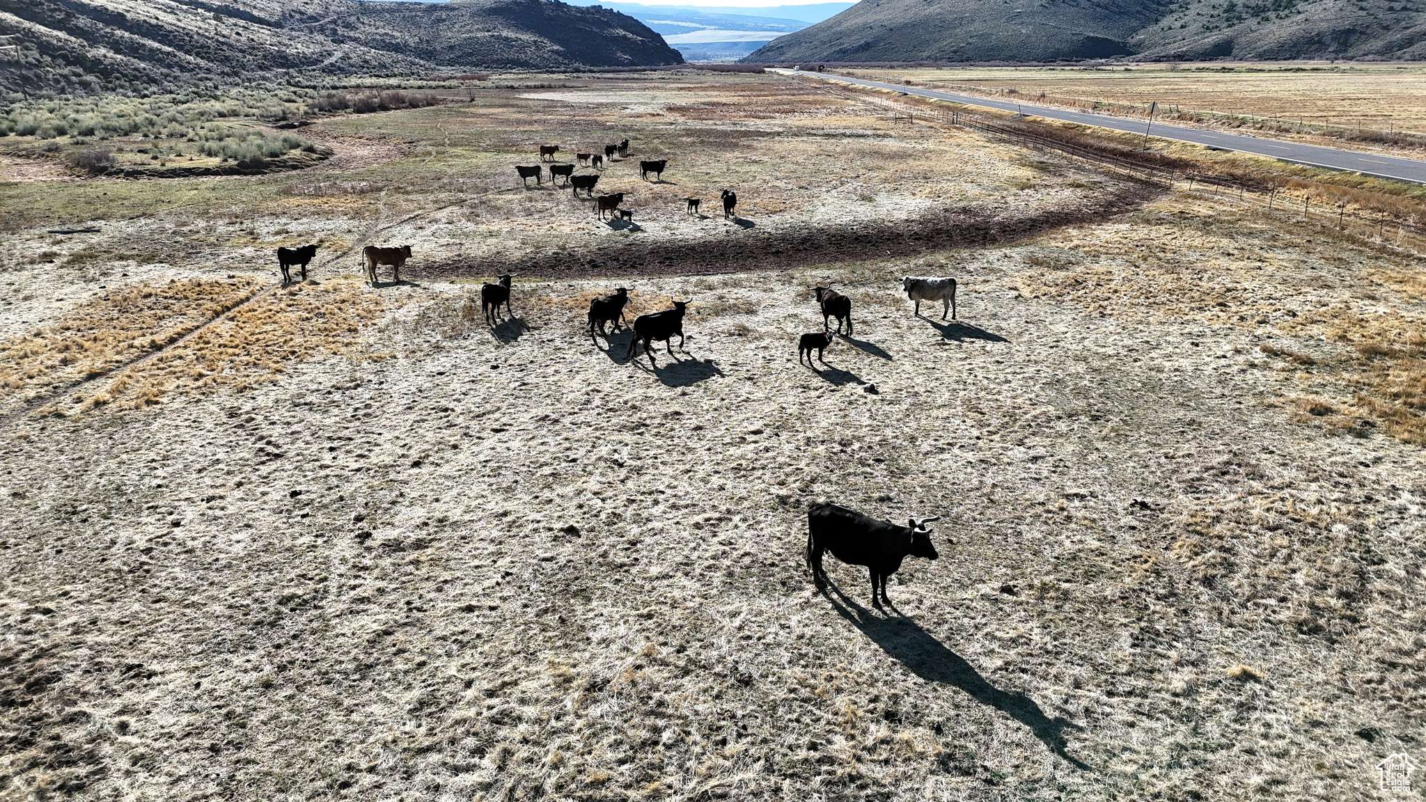 Kingston, UT 84743,1401 HWY 62 HWY